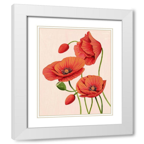 Soft Coral Poppies II White Modern Wood Framed Art Print with Double Matting by Popp, Grace