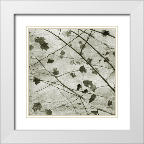 Laced Sky II White Modern Wood Framed Art Print with Double Matting by Chandler, Sharon