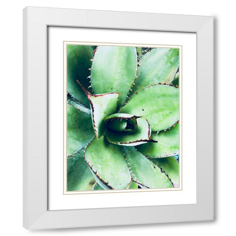 Green Tropical Succulent VI White Modern Wood Framed Art Print with Double Matting by Orlov, Irena