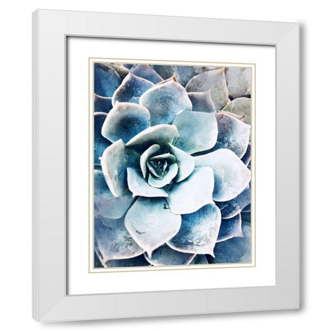 Pastel Succulent Beauty III White Modern Wood Framed Art Print with Double Matting by Orlov, Irena