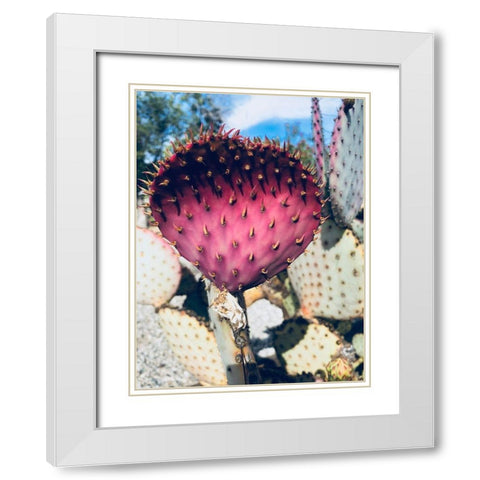Pink Yellow Cactus III White Modern Wood Framed Art Print with Double Matting by Orlov, Irena