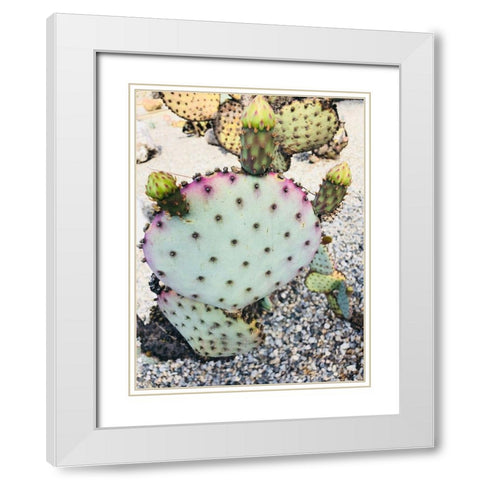 Pink Green Cactus I White Modern Wood Framed Art Print with Double Matting by Orlov, Irena