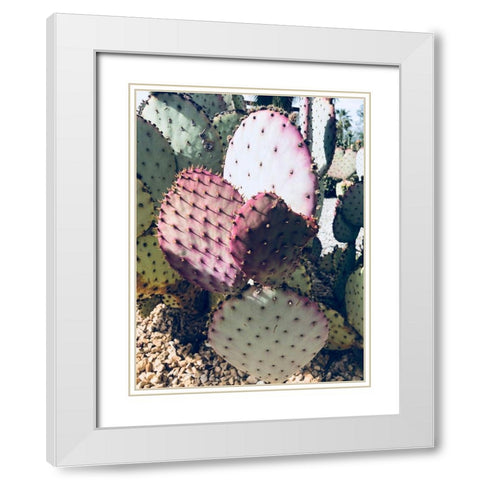 Pink Green Cactus III White Modern Wood Framed Art Print with Double Matting by Orlov, Irena