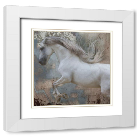 Horse Exposures IV White Modern Wood Framed Art Print with Double Matting by Friedman, Susan