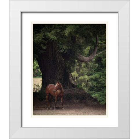 Horse in the Trees II White Modern Wood Framed Art Print with Double Matting by Friedman, Susan