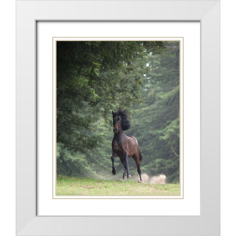 Horse in the Trees III White Modern Wood Framed Art Print with Double Matting by Friedman, Susan