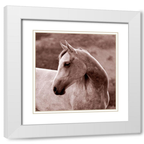 Tempest White Modern Wood Framed Art Print with Double Matting by Friedman, Susan