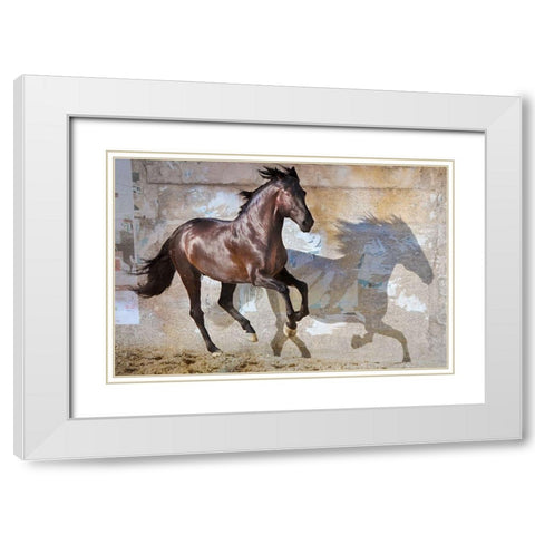 Shadow White Modern Wood Framed Art Print with Double Matting by Friedman, Susan