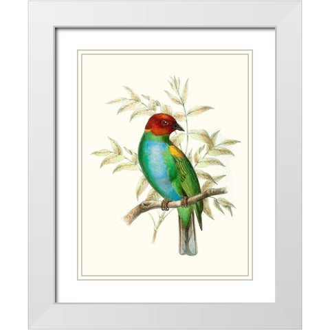On Perch IV White Modern Wood Framed Art Print with Double Matting by Unknown
