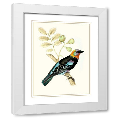 On Perch IX White Modern Wood Framed Art Print with Double Matting by Unknown