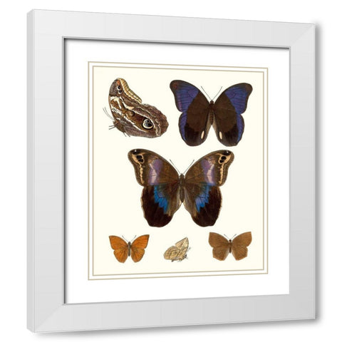 Violet Butterflies IV White Modern Wood Framed Art Print with Double Matting by Unknown