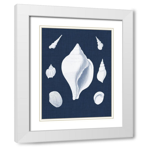 Coquillages Blancs II White Modern Wood Framed Art Print with Double Matting by Vision Studio