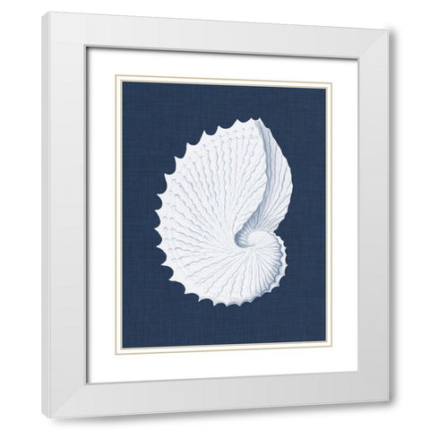 Coquillages Blancs V White Modern Wood Framed Art Print with Double Matting by Vision Studio