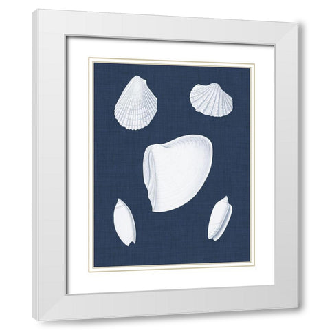 Coquillages Blancs VI White Modern Wood Framed Art Print with Double Matting by Vision Studio