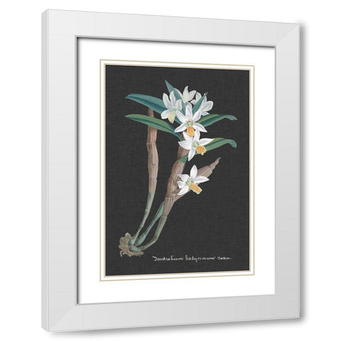 Orchid on Slate I White Modern Wood Framed Art Print with Double Matting by Vision Studio