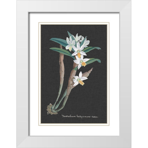 Orchid on Slate I White Modern Wood Framed Art Print with Double Matting by Vision Studio