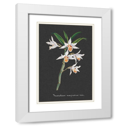 Orchid on Slate IV White Modern Wood Framed Art Print with Double Matting by Vision Studio