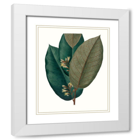 Fall Foliage I White Modern Wood Framed Art Print with Double Matting by Unknown