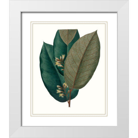 Fall Foliage I White Modern Wood Framed Art Print with Double Matting by Unknown