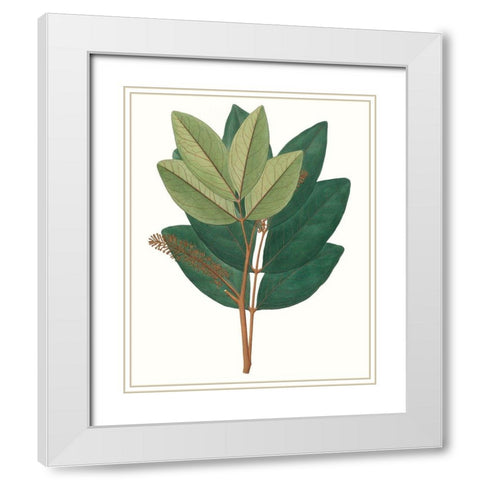 Fall Foliage IV White Modern Wood Framed Art Print with Double Matting by Unknown
