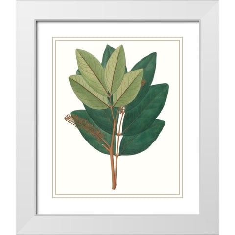 Fall Foliage IV White Modern Wood Framed Art Print with Double Matting by Unknown