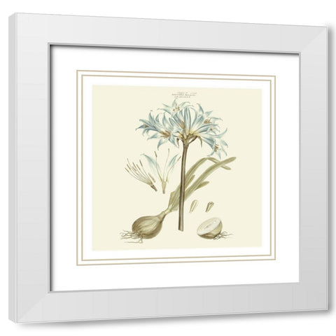 Custom Bashful Blue Florals II White Modern Wood Framed Art Print with Double Matting by Miller, John