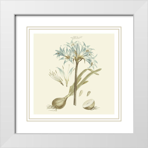 Custom Bashful Blue Florals II White Modern Wood Framed Art Print with Double Matting by Miller, John