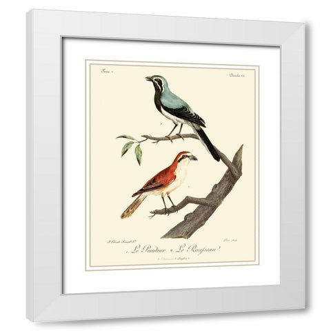 Vintage French Birds II White Modern Wood Framed Art Print with Double Matting by de Langlois