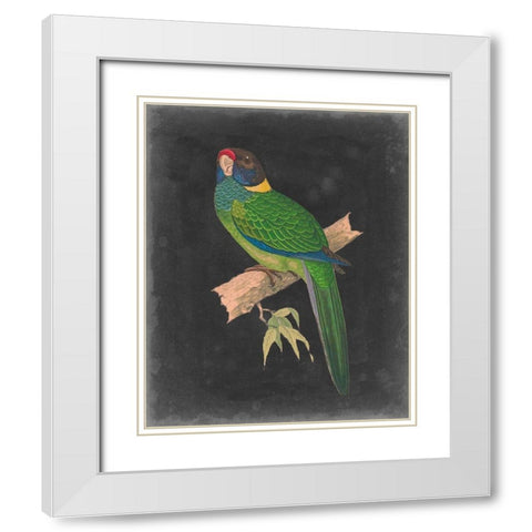 Dramatic Parrots II White Modern Wood Framed Art Print with Double Matting by Vision Studio