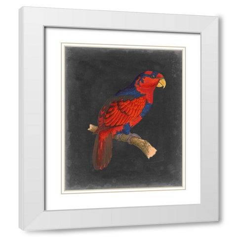 Dramatic Parrots III White Modern Wood Framed Art Print with Double Matting by Vision Studio