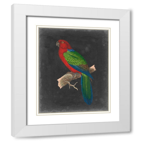 Dramatic Parrots IV White Modern Wood Framed Art Print with Double Matting by Vision Studio