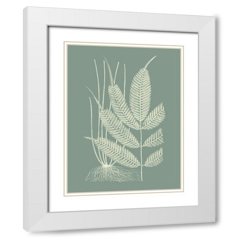 Ferns on Sage II White Modern Wood Framed Art Print with Double Matting by Vision Studio