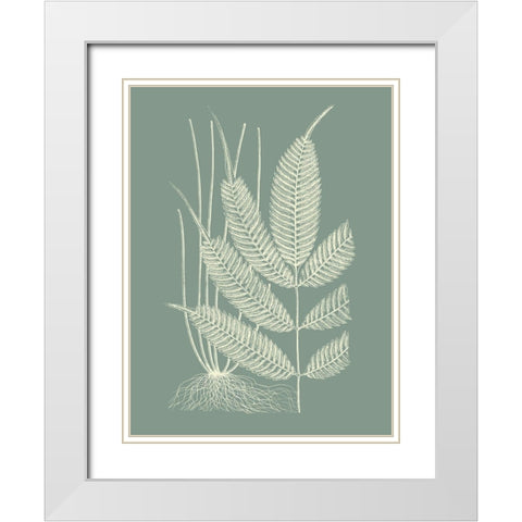 Ferns on Sage II White Modern Wood Framed Art Print with Double Matting by Vision Studio