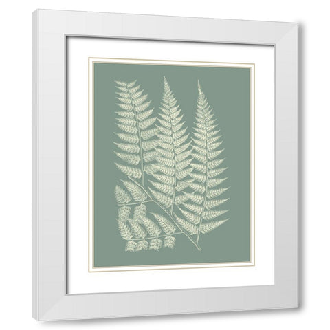 Ferns on Sage III White Modern Wood Framed Art Print with Double Matting by Vision Studio
