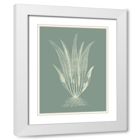 Ferns on Sage IV White Modern Wood Framed Art Print with Double Matting by Vision Studio