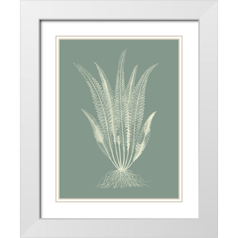 Ferns on Sage IV White Modern Wood Framed Art Print with Double Matting by Vision Studio