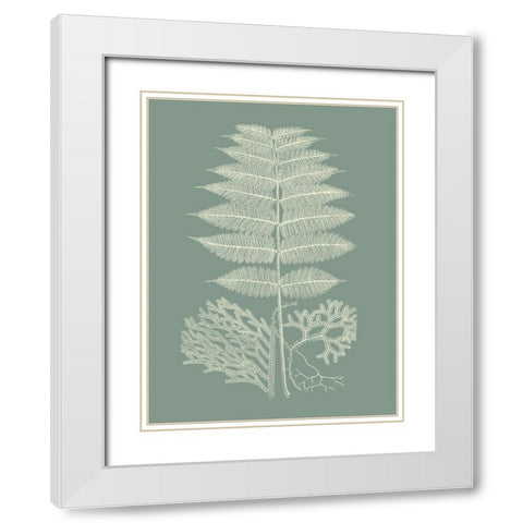 Ferns on Sage V White Modern Wood Framed Art Print with Double Matting by Vision Studio