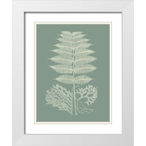 Ferns on Sage V White Modern Wood Framed Art Print with Double Matting by Vision Studio