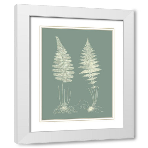 Ferns on Sage VI White Modern Wood Framed Art Print with Double Matting by Vision Studio