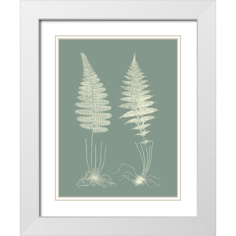 Ferns on Sage VI White Modern Wood Framed Art Print with Double Matting by Vision Studio