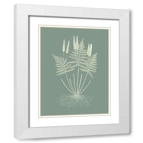 Ferns on Sage VII White Modern Wood Framed Art Print with Double Matting by Vision Studio