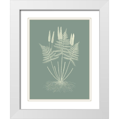Ferns on Sage VII White Modern Wood Framed Art Print with Double Matting by Vision Studio