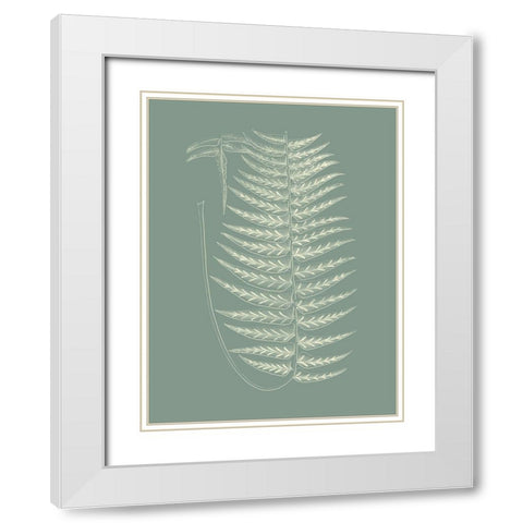 Ferns on Sage VIII White Modern Wood Framed Art Print with Double Matting by Vision Studio