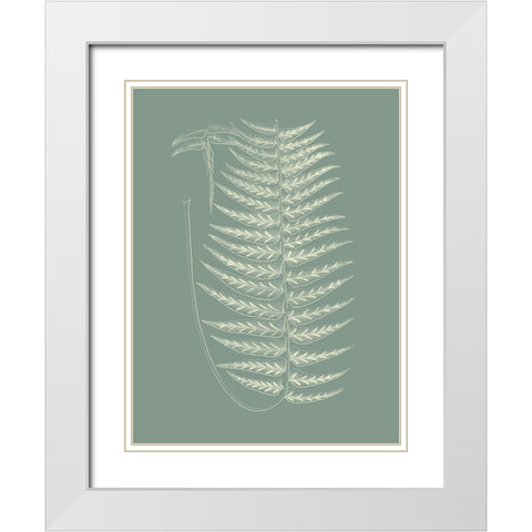 Ferns on Sage VIII White Modern Wood Framed Art Print with Double Matting by Vision Studio