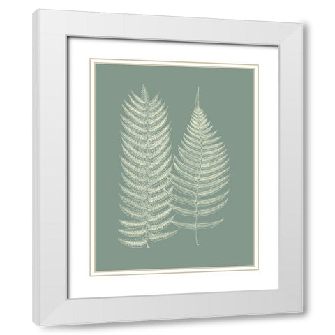 Ferns on Sage IX White Modern Wood Framed Art Print with Double Matting by Vision Studio