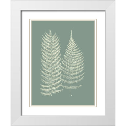 Ferns on Sage IX White Modern Wood Framed Art Print with Double Matting by Vision Studio