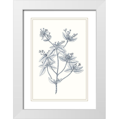 Indigo Botany Study III White Modern Wood Framed Art Print with Double Matting by Vision Studio