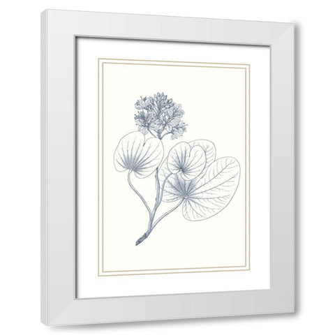 Indigo Botany Study IV White Modern Wood Framed Art Print with Double Matting by Vision Studio