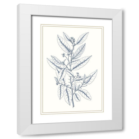 Indigo Botany Study V White Modern Wood Framed Art Print with Double Matting by Vision Studio