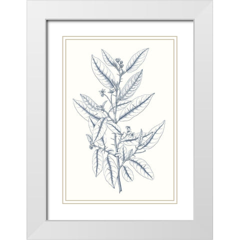 Indigo Botany Study V White Modern Wood Framed Art Print with Double Matting by Vision Studio